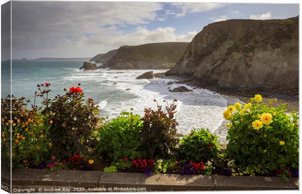 Floral display (St Agnes) Canvas Print by Andrew Ray