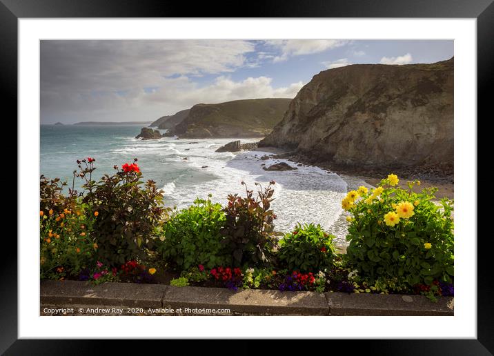 Floral display (St Agnes) Framed Mounted Print by Andrew Ray
