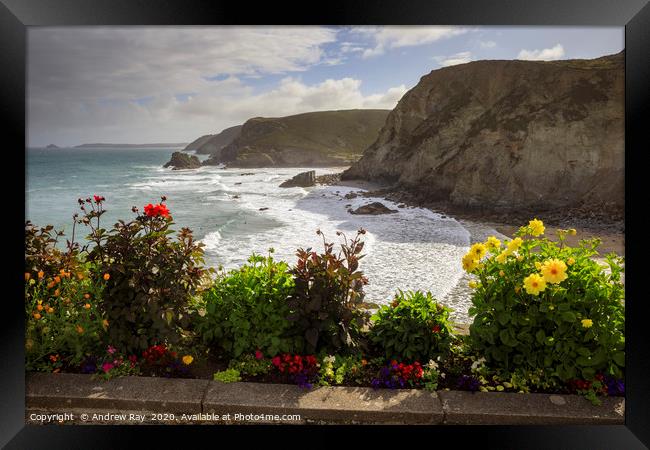 Floral display (St Agnes) Framed Print by Andrew Ray