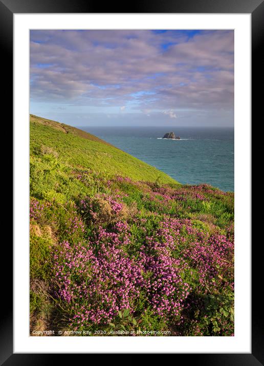Towards the cow and calf Framed Mounted Print by Andrew Ray