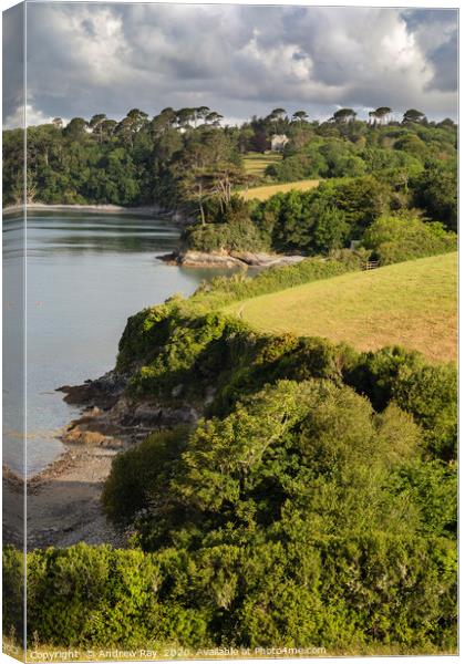 Helford Coast Path Canvas Print by Andrew Ray