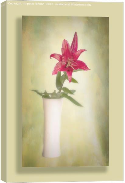 The Lone Lily Canvas Print by Peter Lennon