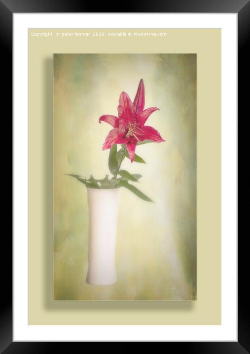 The Lone Lily Framed Mounted Print by Peter Lennon