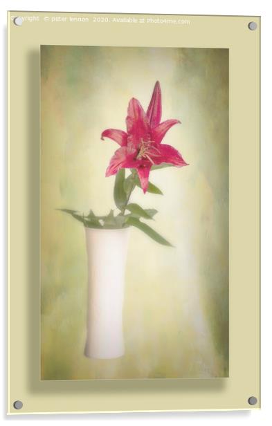 The Lone Lily Acrylic by Peter Lennon