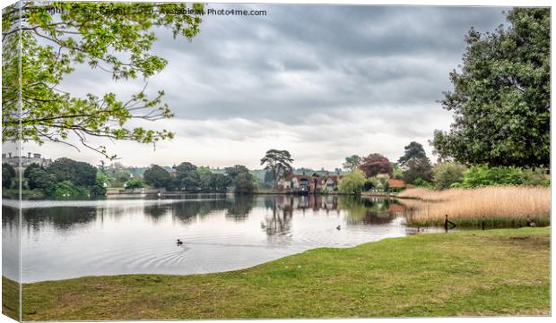 Beaulieu Mill Pond, New Forest Canvas Print by Sue Knight