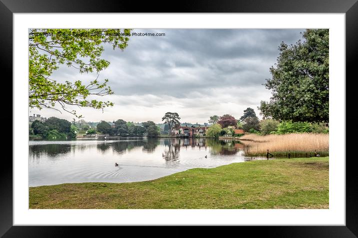 Beaulieu Mill Pond, New Forest Framed Mounted Print by Sue Knight