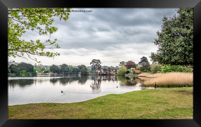 Beaulieu Mill Pond, New Forest Framed Print by Sue Knight