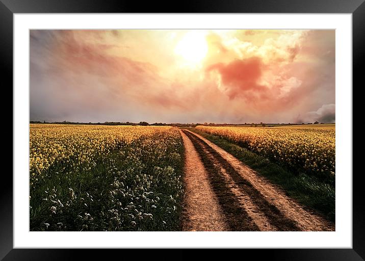Country Road, Take Me Home Framed Mounted Print by Lee Morley