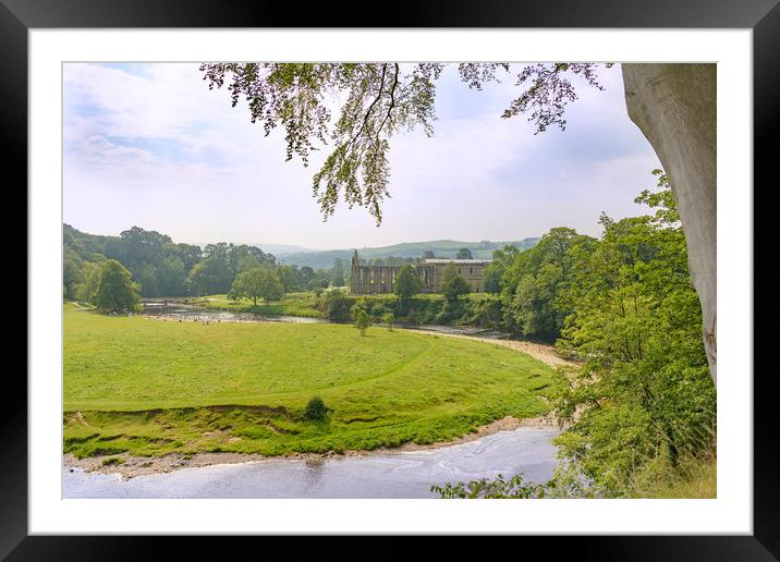 Bolton Abbey Priory Framed Mounted Print by Svetlana Sewell