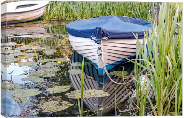 Moored row boat on the Norfolk Broads Canvas Print by Chris Yaxley