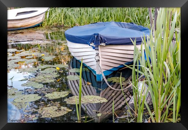 Moored row boat on the Norfolk Broads Framed Print by Chris Yaxley