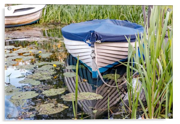 Moored row boat on the Norfolk Broads Acrylic by Chris Yaxley