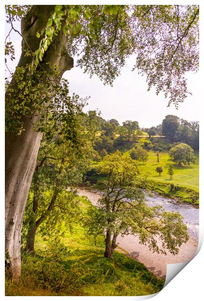 Bolton Abbey Priory Print by Svetlana Sewell