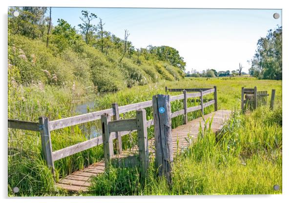 Wooden bridge in the Norfolk countryside Acrylic by Chris Yaxley