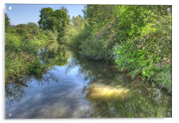 River Colne Acrylic by Chris Day