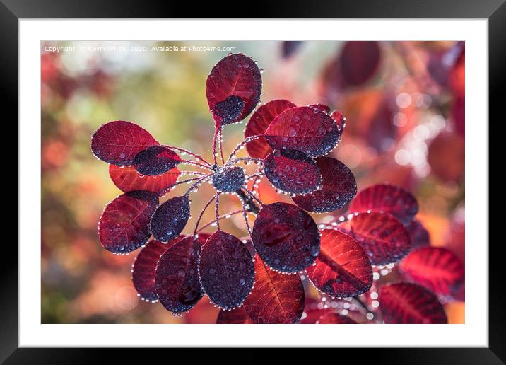 droplets of light Framed Mounted Print by Kevin White