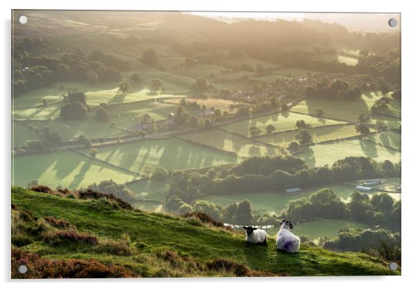 Two Spring Lambs above Bamford, Peak District  Acrylic by John Finney