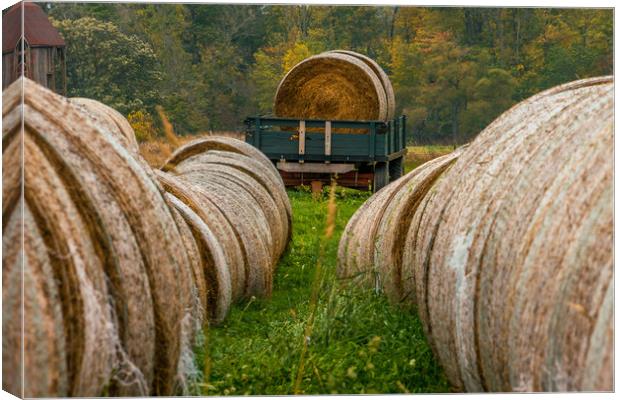 Autumn Harvest - Needle in a haystack Canvas Print by Blok Photo 