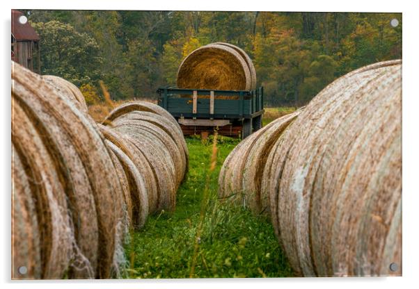 Autumn Harvest - Needle in a haystack Acrylic by Blok Photo 