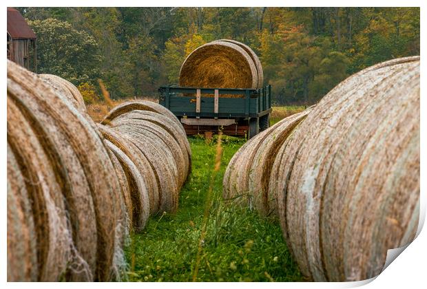 Autumn Harvest - Needle in a haystack Print by Blok Photo 