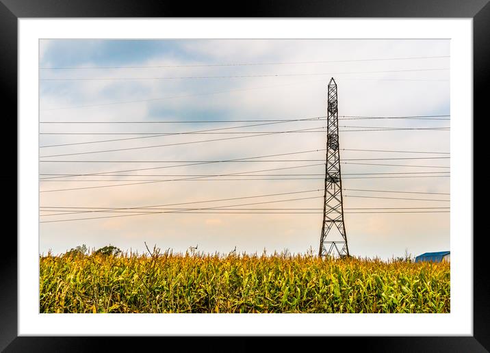 Autumn - High Voltage  Framed Mounted Print by Blok Photo 