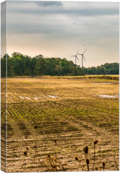 Autumn - Wind Energy Farming,  Canvas Print by Blok Photo 