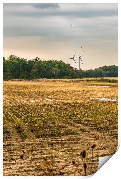 Autumn - Wind Energy Farming,  Print by Blok Photo 