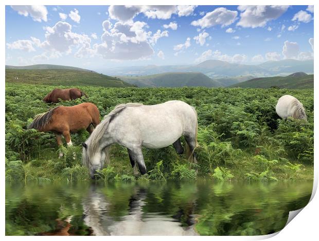 Majestic Wild Ponies Roam Free Print by Simon Marlow