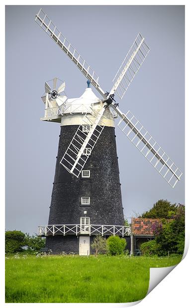Tower Windmill Print by Chris Thaxter