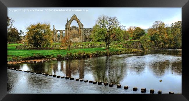 Bolton Abbey Stepping Stones Wharfedale Framed Print by Diana Mower