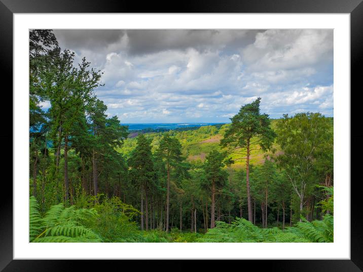 The Devil's Punchbowl ,Hindhead ,Surrey  Framed Mounted Print by Philip Enticknap