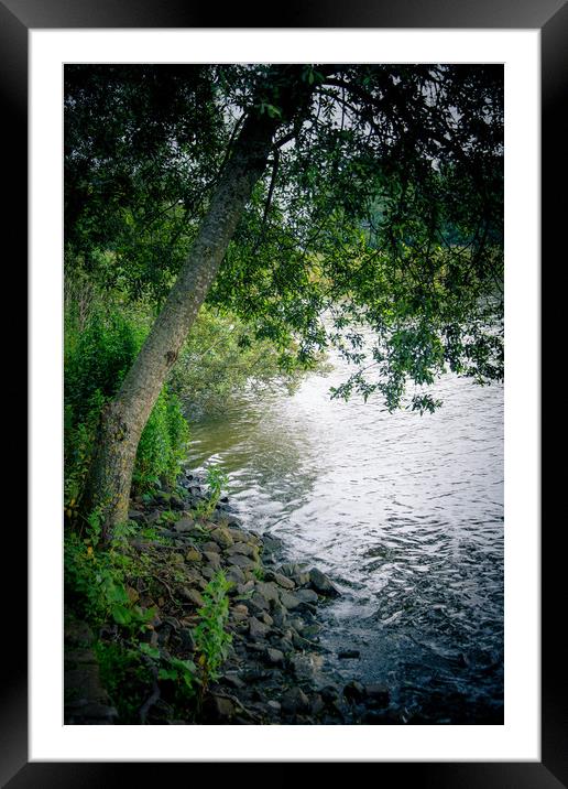Lake Scenery Framed Mounted Print by Svetlana Sewell