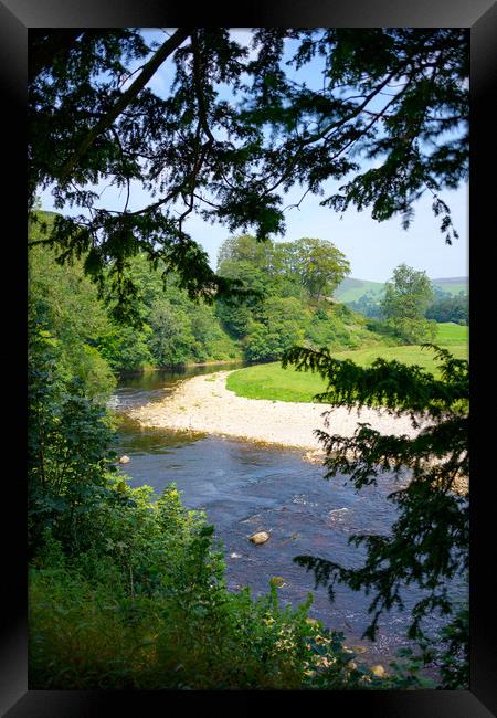 Bolton Priory Framed Print by Svetlana Sewell