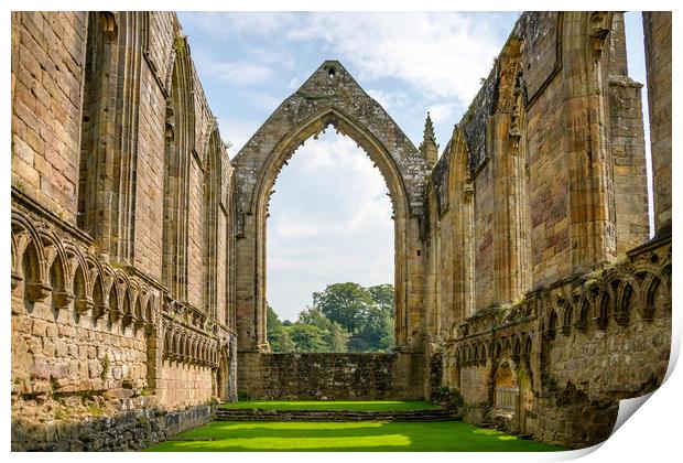 Bolton Abbey Print by Svetlana Sewell