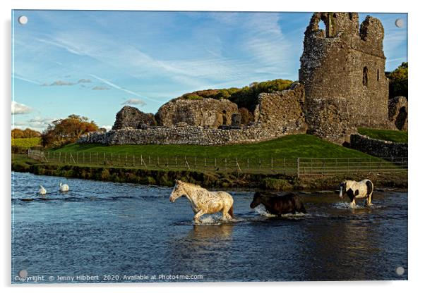 Horses crossing river at Ogmore Castle Acrylic by Jenny Hibbert