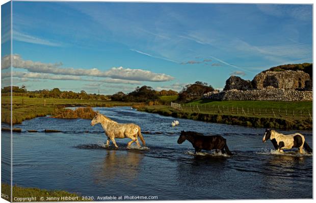 Horses evening crossing at Ogmore ruins Canvas Print by Jenny Hibbert