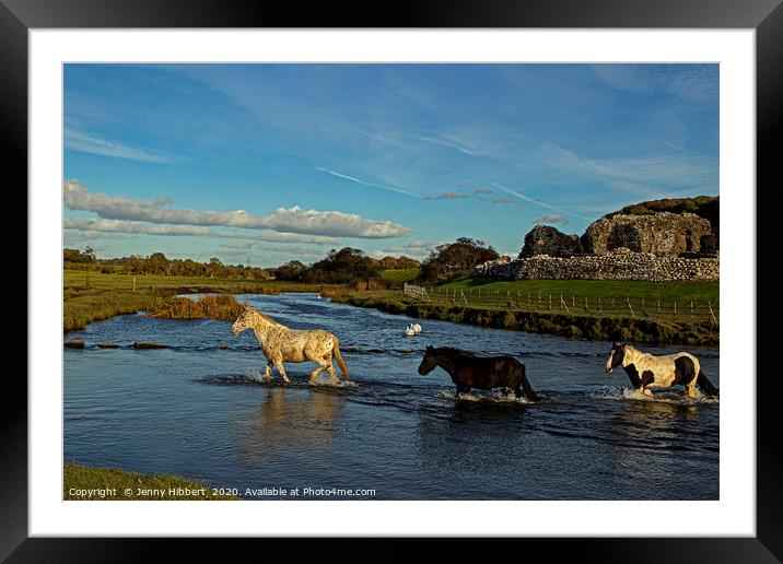 Horses evening crossing at Ogmore ruins Framed Mounted Print by Jenny Hibbert