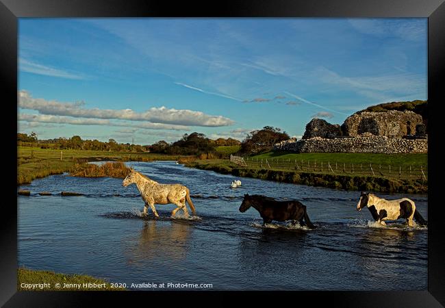 Horses evening crossing at Ogmore ruins Framed Print by Jenny Hibbert