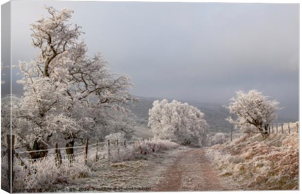Drovers way on a very wintery morning Canvas Print by Jenny Hibbert
