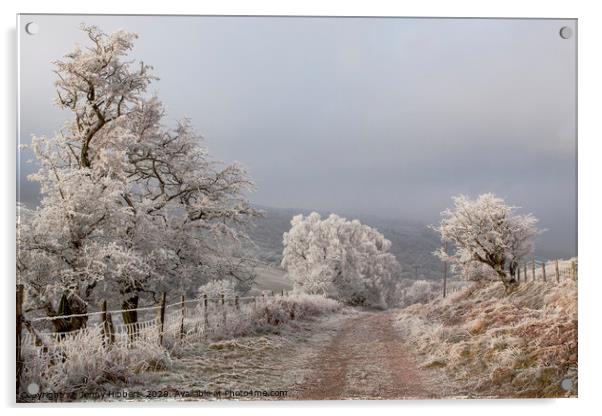 Drovers way on a very wintery morning Acrylic by Jenny Hibbert