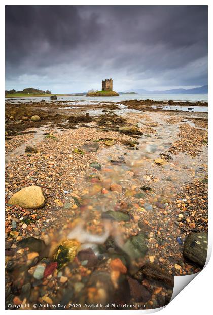 Stream at Castle Stalker Print by Andrew Ray