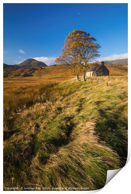 Tree and House (Loch Loyal) Print by Andrew Ray