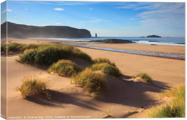 Sand dunes at Sandwood Bay Canvas Print by Andrew Ray