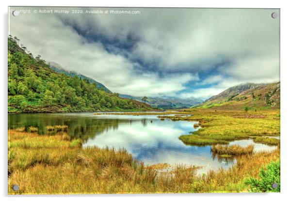 In a Highland Glen Acrylic by Robert Murray