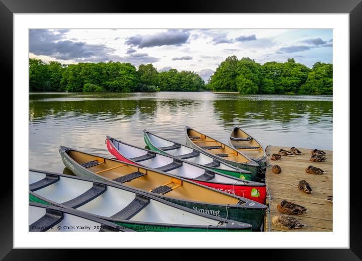 Moored canoes and kayaks Framed Mounted Print by Chris Yaxley