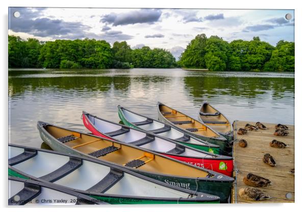 Moored canoes and kayaks Acrylic by Chris Yaxley