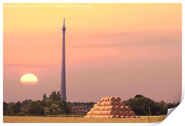 Late Summer At Emley Moor Print by Alison Chambers