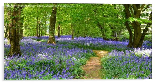 English Bluebell Wood  Acrylic by Diana Mower