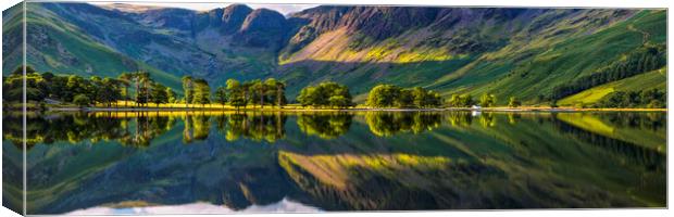 The Buttermere Trees Canvas Print by John Finney