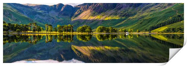 The Buttermere Trees Print by John Finney